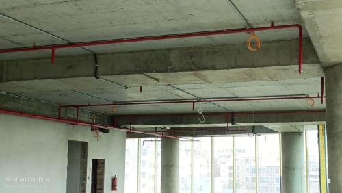 WhatsApp-Image-2024-07-29-at-02.20.37 706af645