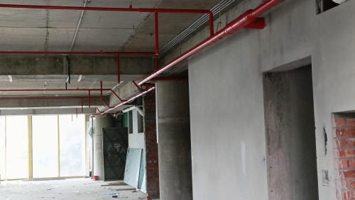 WhatsApp-Image-2024-07-29-at-02.20.40 f8eef33e