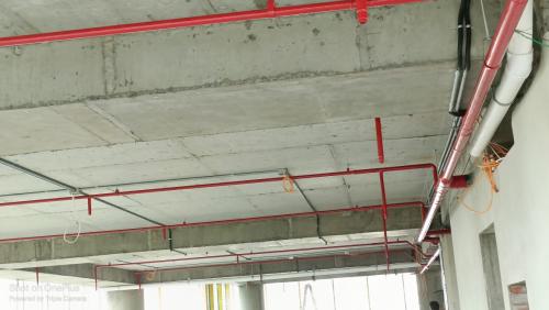 WhatsApp-Image-2024-07-29-at-02.21.30 19e2af11