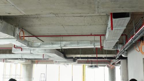 WhatsApp-Image-2024-07-29-at-02.28.28 195fed01