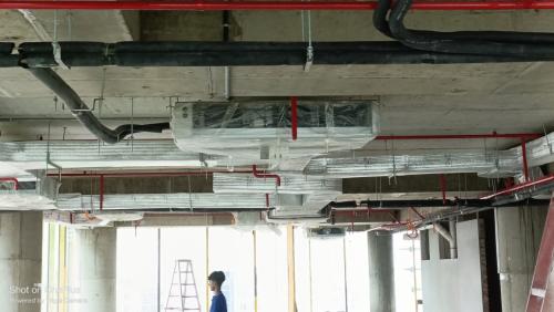 WhatsApp-Image-2024-07-29-at-02.28.28 4412d98f